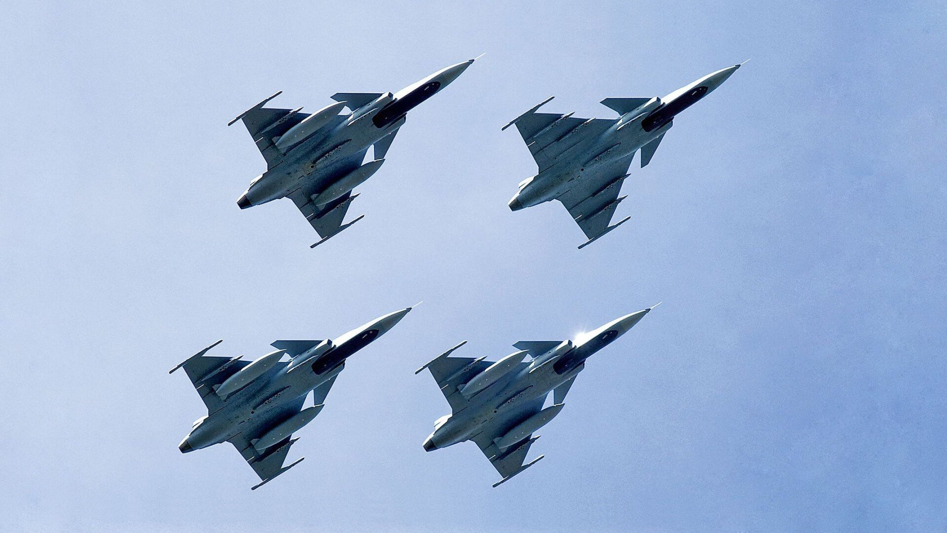 开云网页版-_雄鹿持续稳步提升，迎来佳绩_，雄鹿11