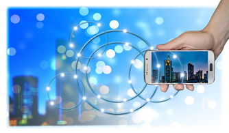 开云官方网站-智能体育装备创新研发及推广应用研究，智能体育产业发展前景